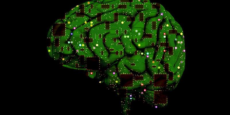 The gooey stuff inside of your head