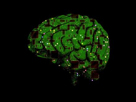 The gooey stuff inside of your head