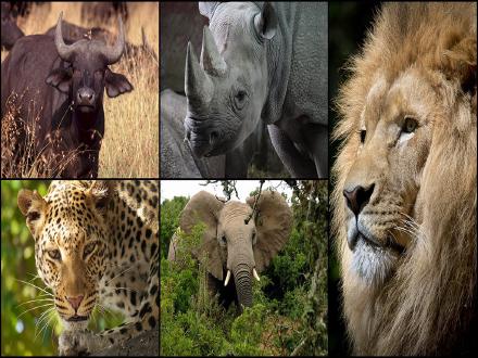 Easy Deep Learning Part VIII