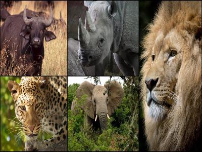 Easy Deep Learning Part VIII
